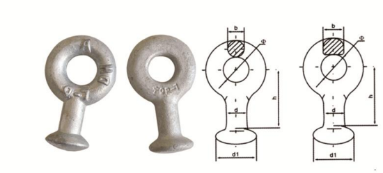 Balli ko'z haqida bilishingiz kerak bo'lgan narsalar